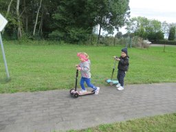 2025-09-26 Biedronki w Chojnie